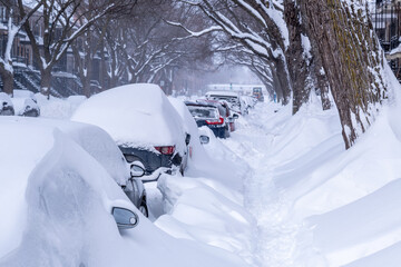 Cars covered with snow after major winter storm in Montreal (February 2025)