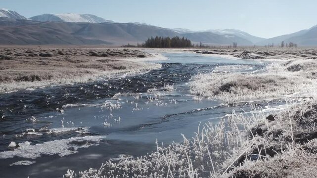 Fast-moving stream of narrow river runs along frozen banks on sunny day. Mountain landscape of autumn nature with melting ice islands and frosted grass in highland. Altai