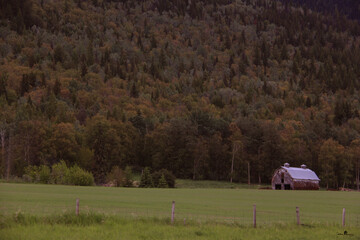 Smithers to Prince George B.C. Scenery