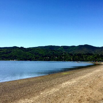 beach on tomales bay, california