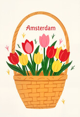 Colorful tulips in woven basket for Amsterdam Tulip Festival, spring charm