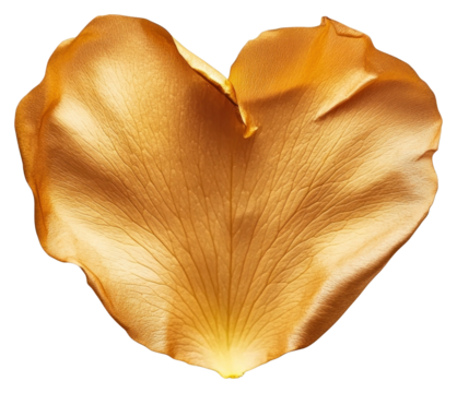 PNG Golden rose petal elegant heart-shaped minimalist.