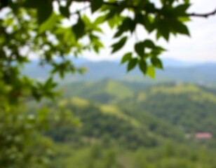 Obraz premium forest in the mountains,blurred view 
