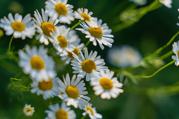 Abandoned wooden house with broken windows in rural area
