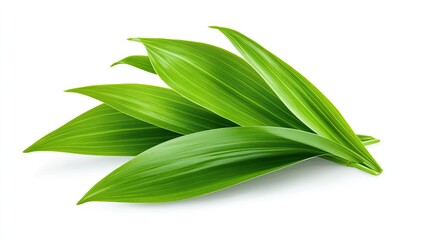 Lush Green Leaves Isolated On White Background