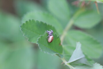 Saskatchewan Scenery and Abandoned Places
