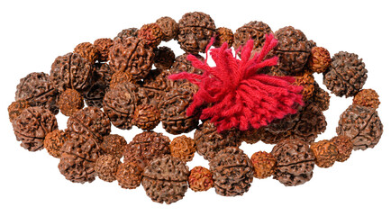 Rudraksha beads, a traditional accessory for meditation and spiritual practices made of natural...