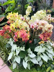 bouquet of flowers in garden