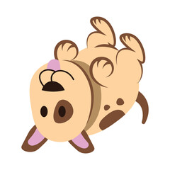 Puppy Laying on Its Back