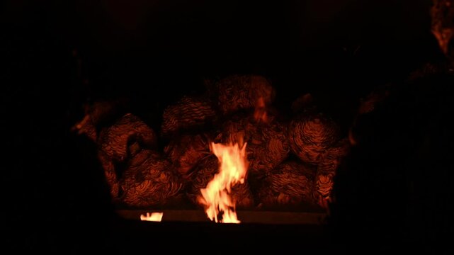 Horno para cocinar cabezas de sotol, proceso de destilaci&oacute;n de sotol dentro del estado de Chihuahua, Dasilirion cedrosanum, wheelery, texanum, berlandieri, leiophyllum