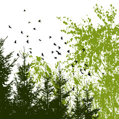 Green trees and birds nature. hand drawing. Not AI Vector illustration.