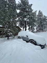 A silver SUV car buried under a foot of fresh powder snow underneath tall evergreen trees in a winter blizzard on a snowy day in Durango, Colorado, USA