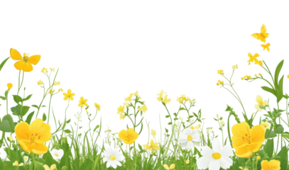 PNG Spring border background flowers daisies.