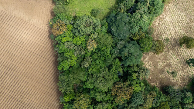 Ecocentro Danaus in Costa Rica near La Fortuna. Forest and jungle area. Drone aerial view.
