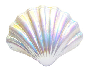 PNG White shell seashell beach invertebrate.