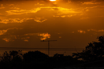 Sunset in the evening sky with clouds and birds in the foreground