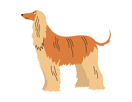 recommend clip art: Cute Hort, greyhound, dog standing. Domestic animal, breed. Isolated flat vector illustration
