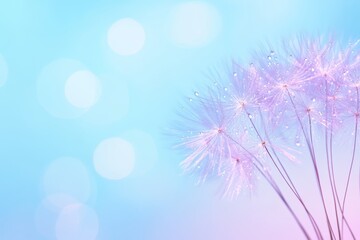 Obraz premium Flower with a blue background