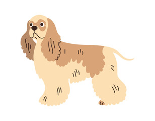 Cute cocker spaniel dog standing. Pet animal, breed. Isolated flat vector illustration