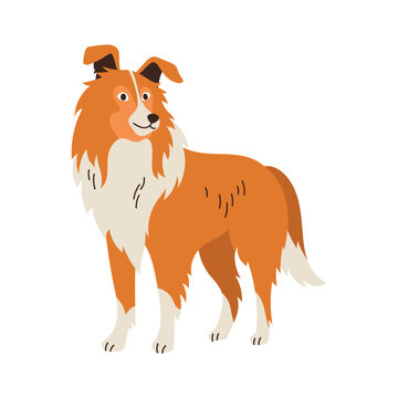 recommend clip art: Cute Collie, Dog Standing. Domestic Animal, Breed. Isolated Flat Vector Illustration