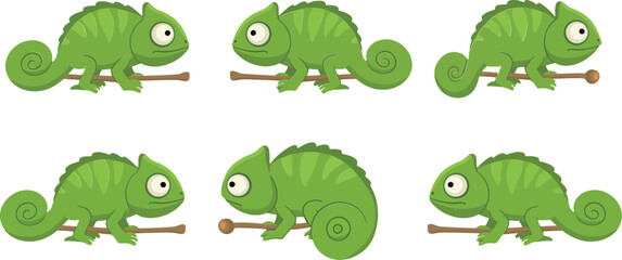 Chameleon character transformation in flat, colorful design vector illustration
