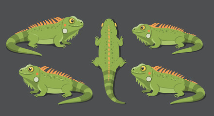 Detailed iguana character design in flat style showcasing multiple views vector illustration