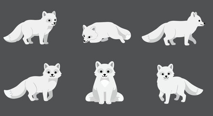 Obraz premium Arctic fox character development in playful poses flat vector illustration