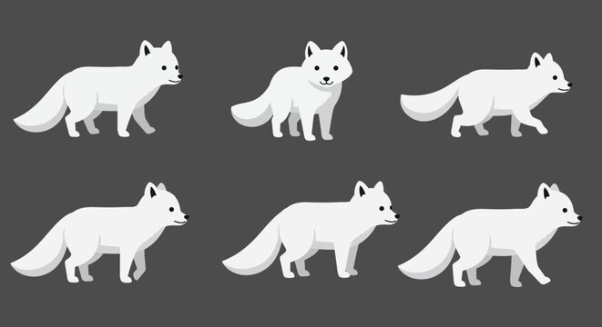 White fox character animation sequence in flat vector illustration style