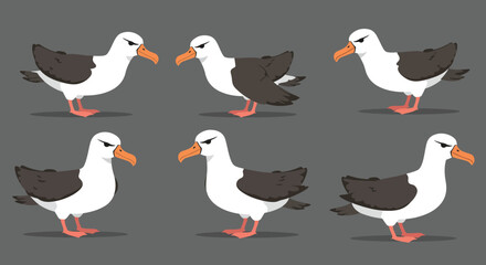 Seagull character design in flat style showcasing various poses in vector illustration