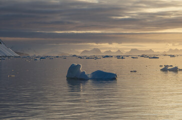 Antarctic Peninsula: Snowy peaks, icebergs, cloudy sky. Lemaire Channel