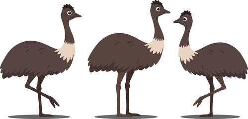 Emu birds in a playful sequence showing movement in flat vector art