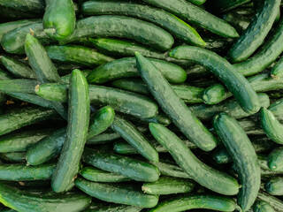 Japanese cucumbers are sold in supermarkets