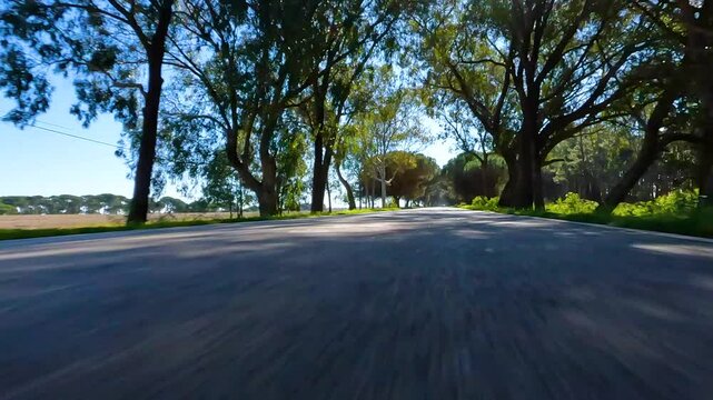 POV point of view first person view driving on a empty landscape road in summer