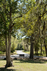 Palmetto State Park in Texas