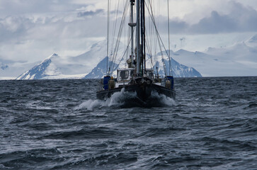 Antarctic Peninsula, A sailboat navigates choppy waters near snowy Antarctic mountains.