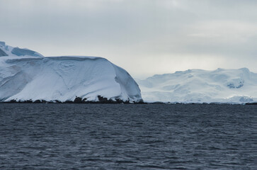 Antarctic Peninsula: Snowy mountains meet icy sea.