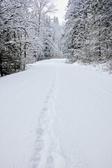 Footprints and Fresh Snow on the Road