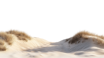 Desert sand dunes natural landscape scenic view outdoor peaceful