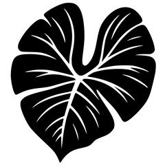 Silhouette of taro leaves