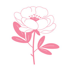 Peony flower line art. Minimalist contour drawing. Botanical hand drawn element. Blossom illustration design for logo, wedding, invitation, decor. Vector isolated on white.