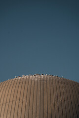 Palacio de Las Artes Reina Sof&iacute;a. Detail of the arts centre in Valencia with unique and modern architecture that offers opera, theatre, recitals