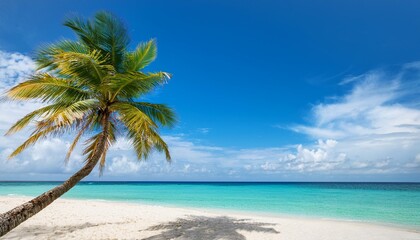 Beautiful palm tree on tropical island beach on background blue sky with white clouds and turquoise ocean on sunny day. Generated image