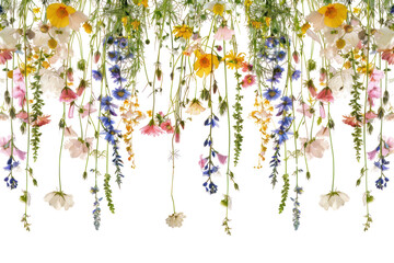 PNG Vibrant hanging wildflower arrangement