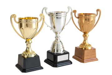 Trophy display event celebrating achievements in a festive hall