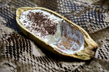 Traditional cupuaçu cream, cupuaçu mousse served in the fruit shell with grated chocolate