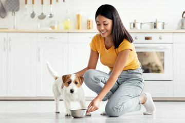 Beautiful young asian woman in casual outfit feeding her cute pet, giving bowl with healthy nutritive pet food, kitchen interior, full size photo, side view, panorama with copy space