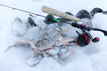 Winter fishing with ice fishing for perch