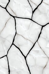 Cracked White Marble Texture Showcasing Natural Patterns and Dark Veins