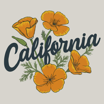 vector illustration California word orange poppy flowers for graphic art designs vintage look