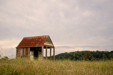 Obraz premium Australian landscape showing old, abandoned, rustic wooden shed with red tin roof. In a field surrounded by overgrown grass. In late afternoon light. No people.